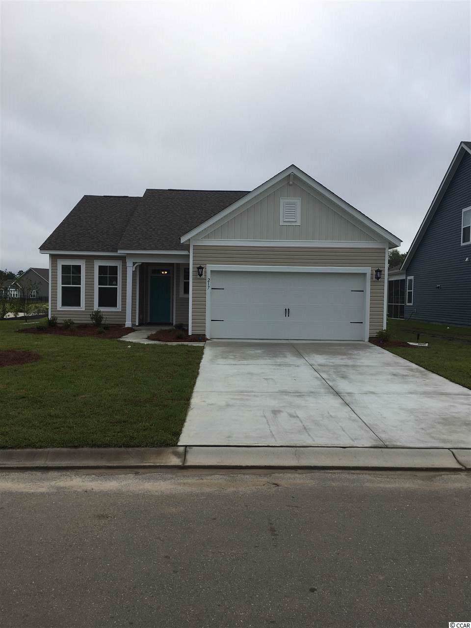 217 Angel Wing Dr. - Photo 1