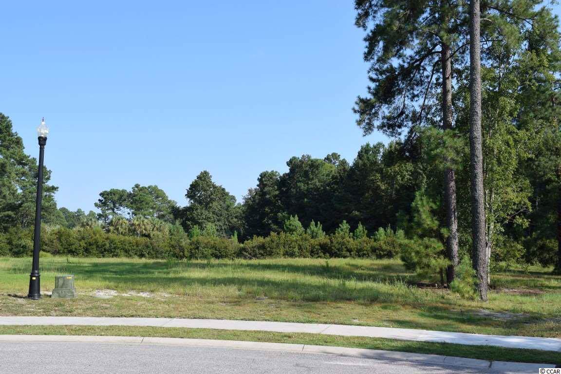 1001 Spoonbill Dr. - Photo 1