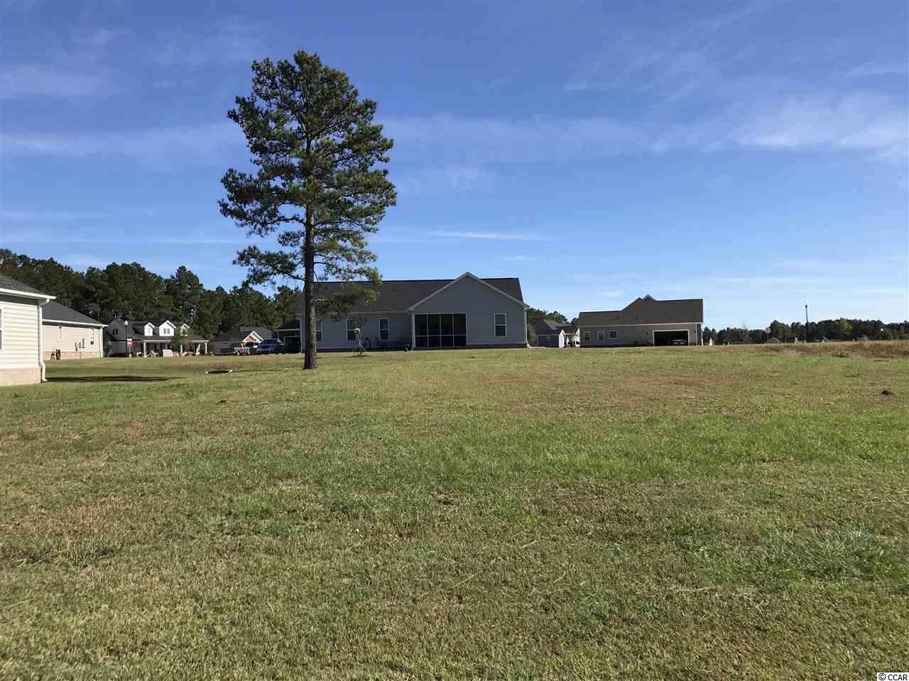 4217 Ridgewood Dr. - Photo 1
