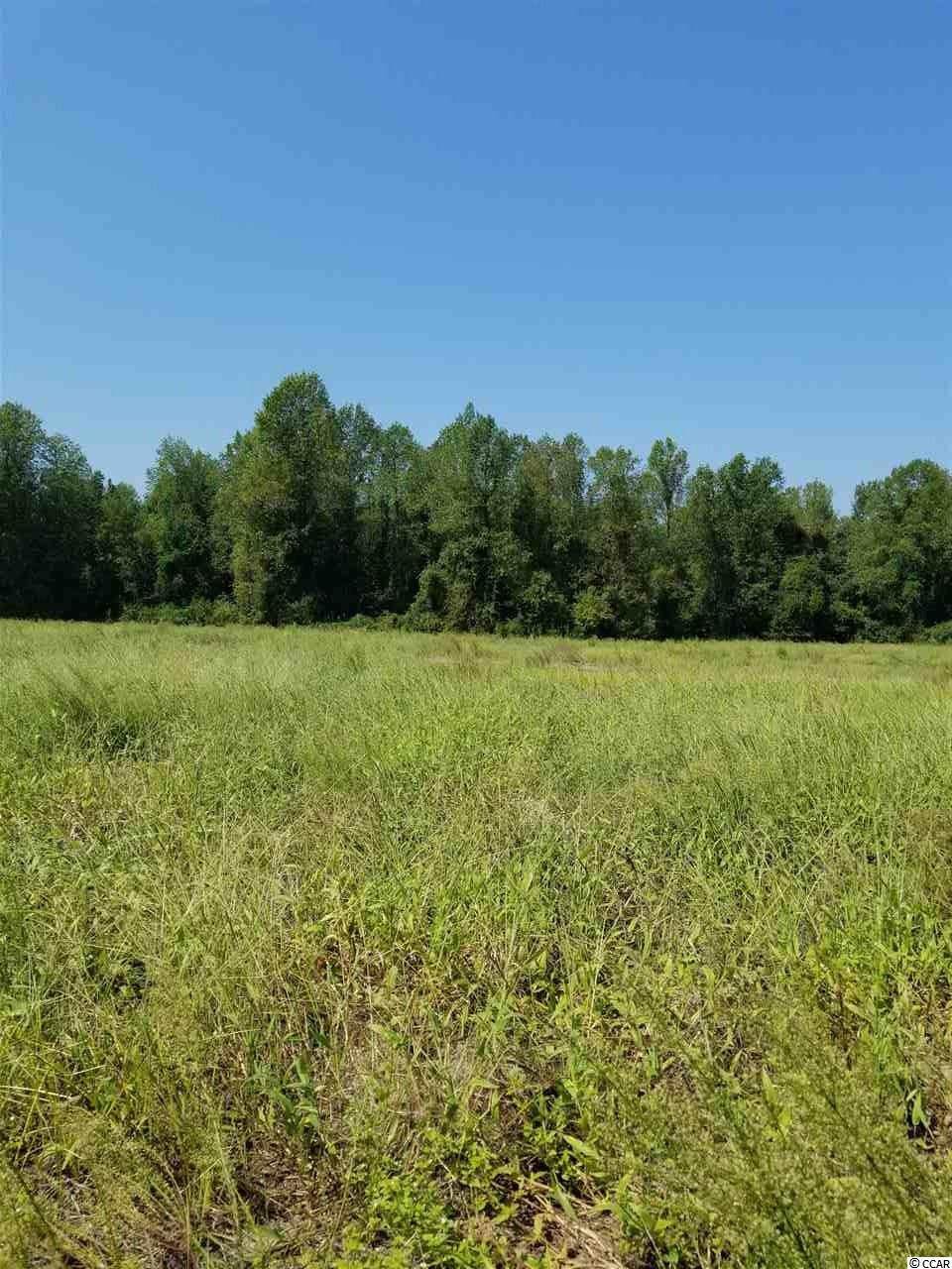 TBD Tract 4 Jasmine Rd. - Photo 1