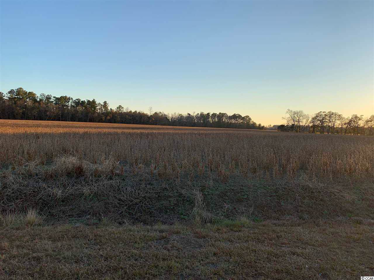 TBD Justice Loop - Photo 1