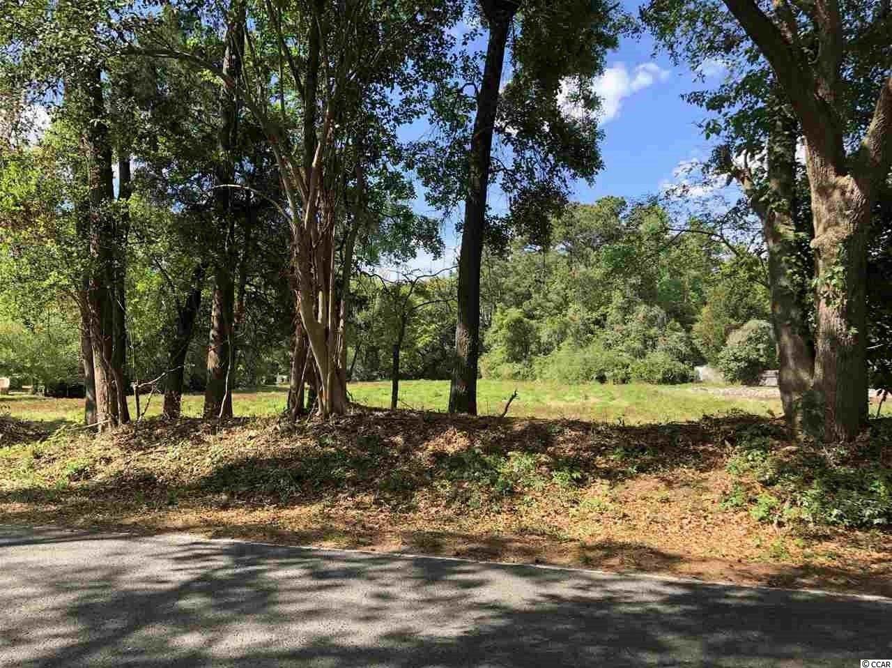 TBD Wachesaw Rd. - Photo 1 TBD Wachesaw Rd. - Photo 1