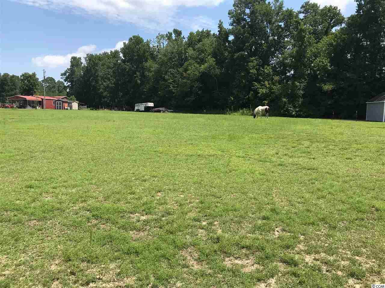 TBD Juniper Bay Rd. - Photo 1