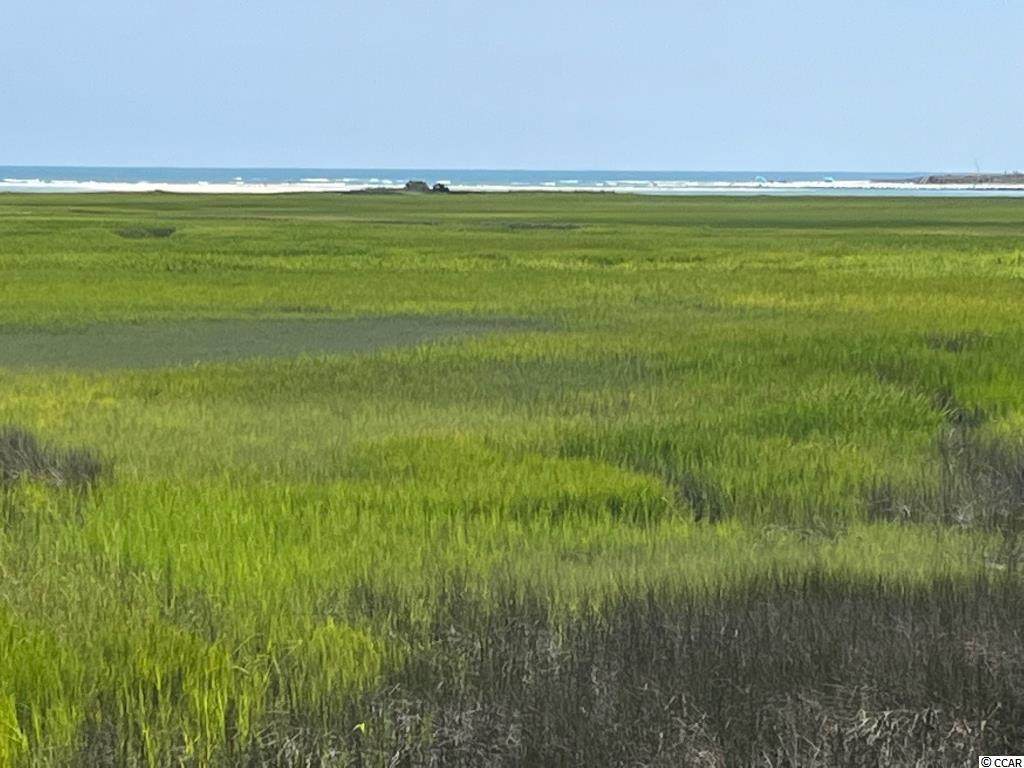 180 Brown Pelican Loop - Photo 1