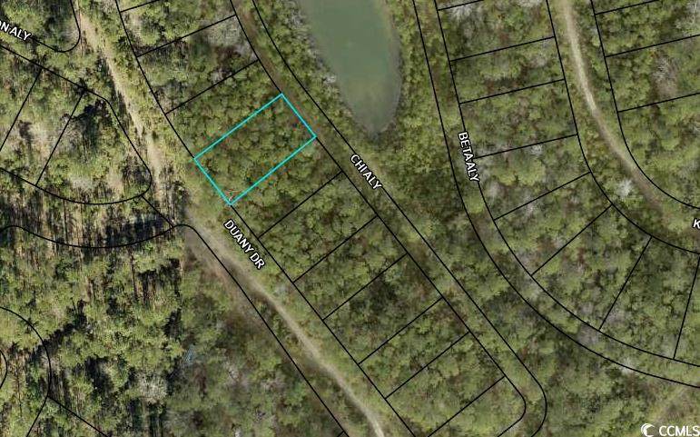 TBD Duany Dr. - Photo 1