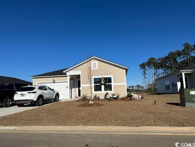 768 El Pepino Loop - Photo 1