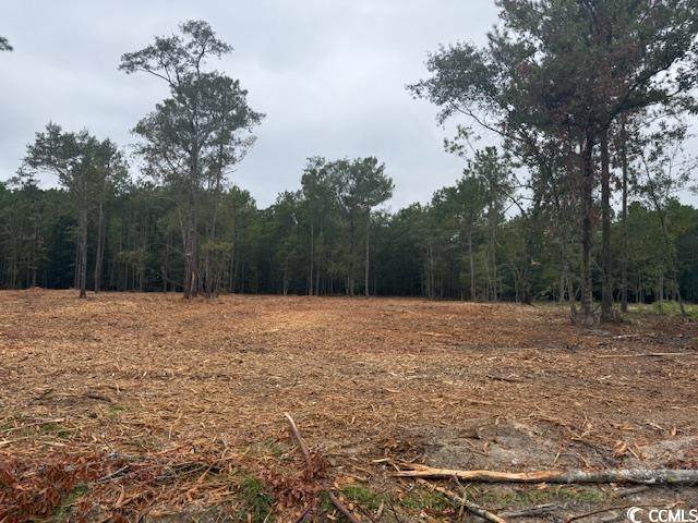 1-A Mcnabb Rd. - Photo 1