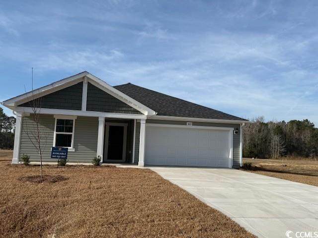 1005 Cherrystone Loop - Photo 1