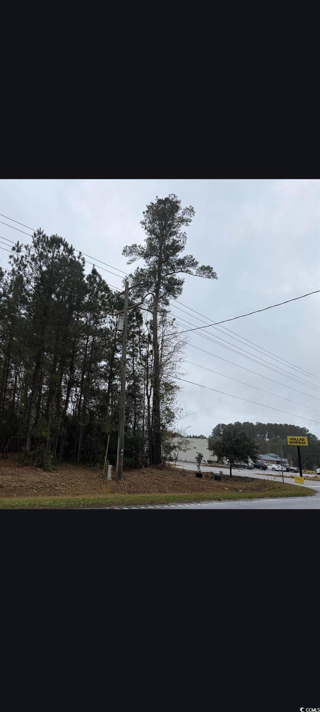 7921 Highway 701 South - Photo 1