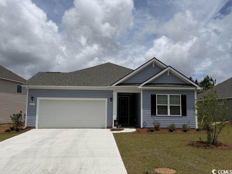 251 Hadley Springs Ave - Photo 1