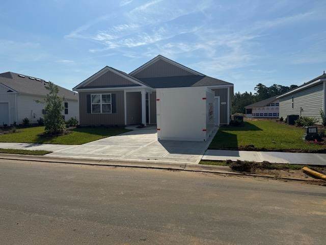 314 Hadley Springs Ave - Photo 1