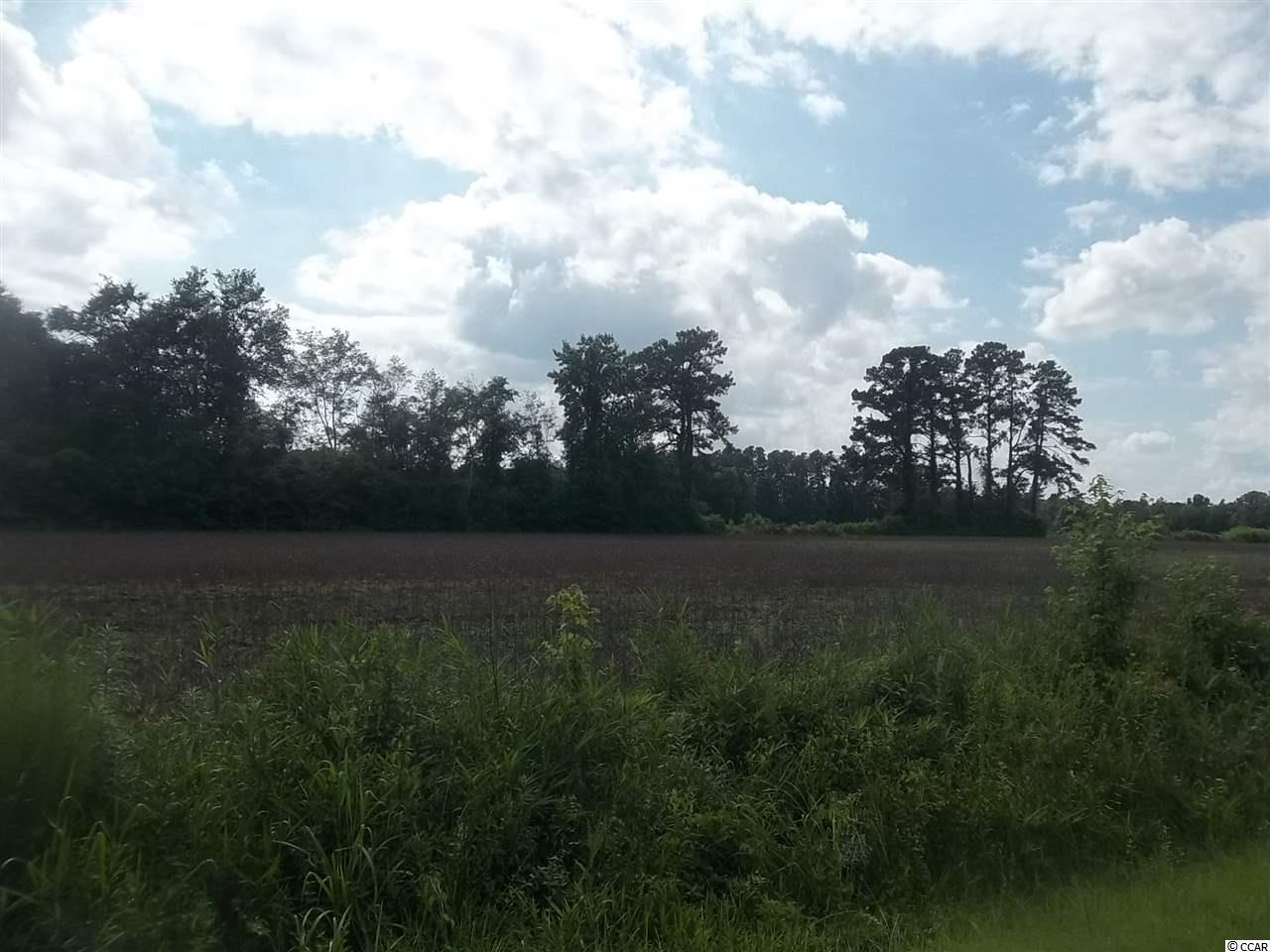 0 Hwy 931 - Photo 1