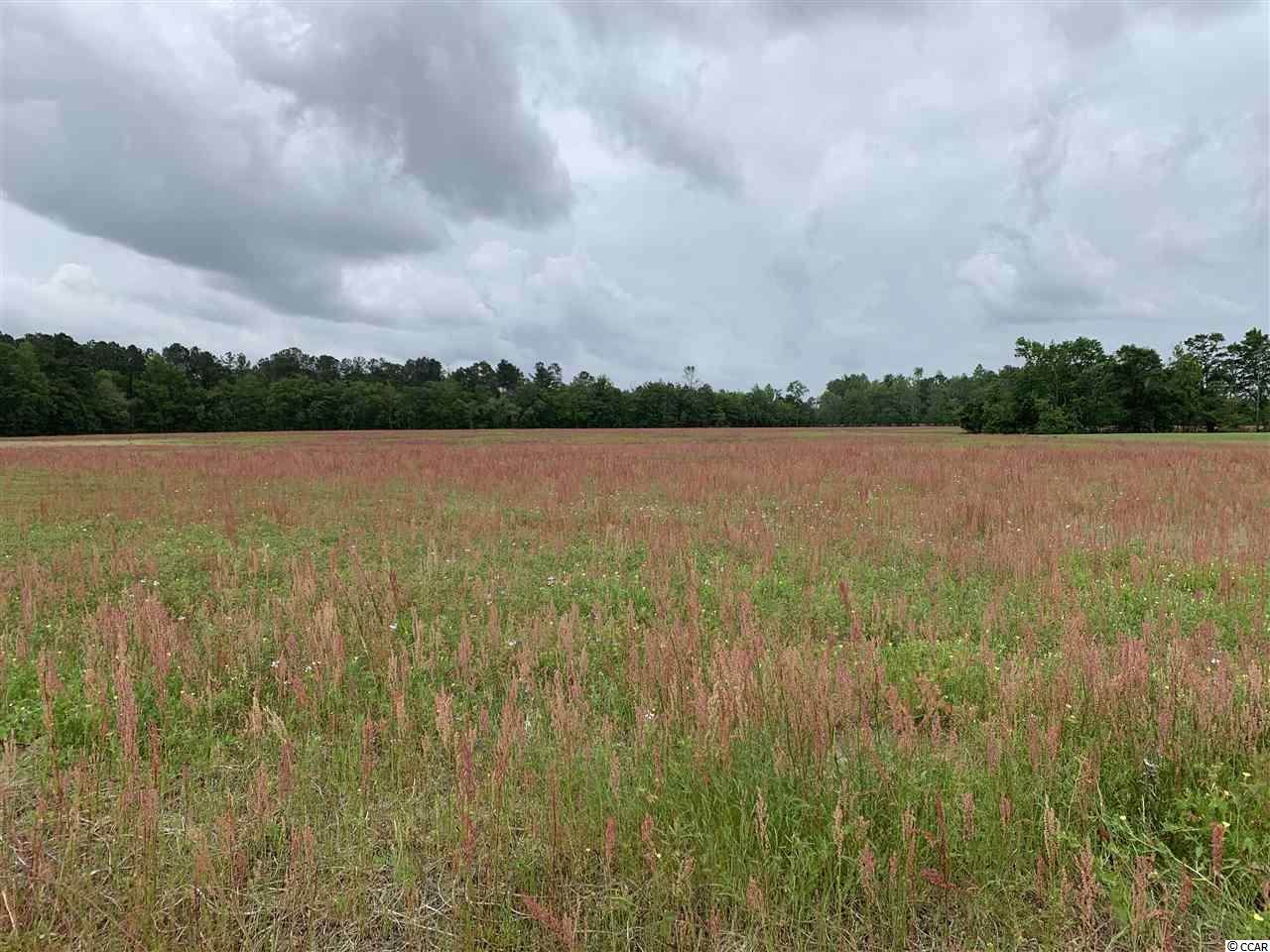 TBD Justice Loop - Photo 1