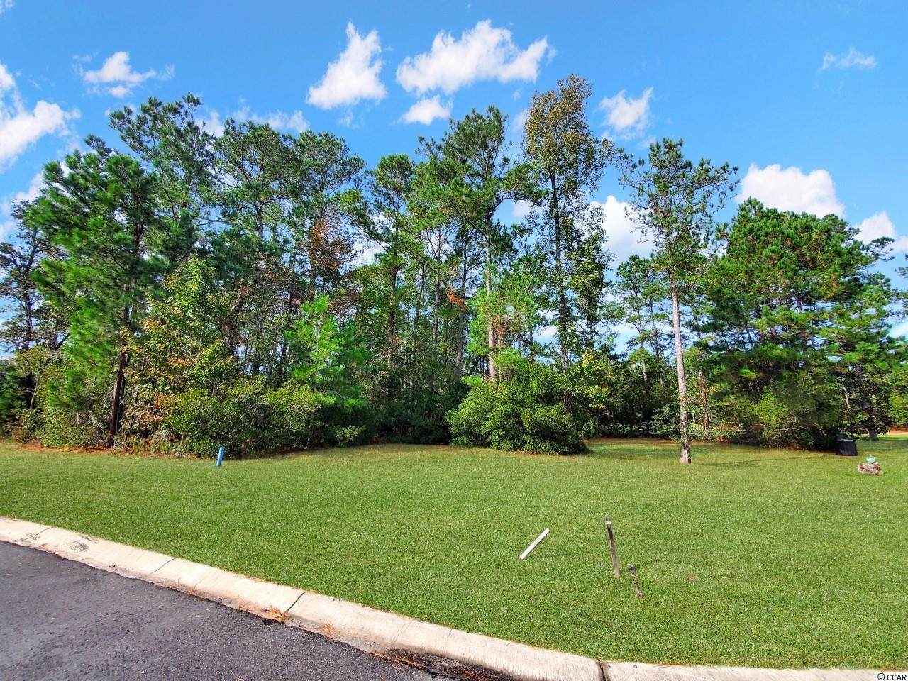 218 Putney Ct. - Photo 1