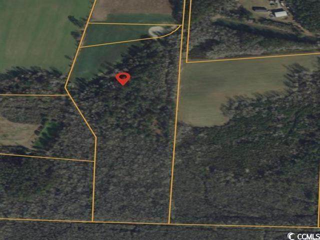 160 Joey Lane - Photo 1