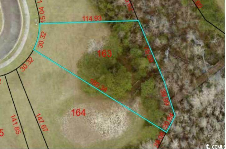 163 Commanders Island Rd. - Photo 1