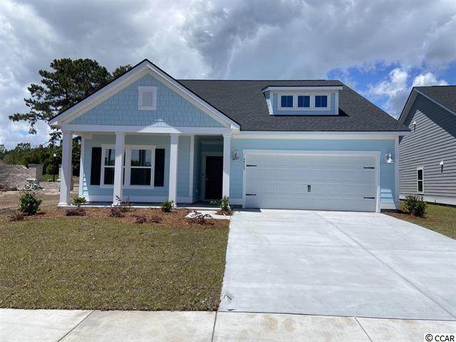 5639 Lacebark Trail - Photo 1
