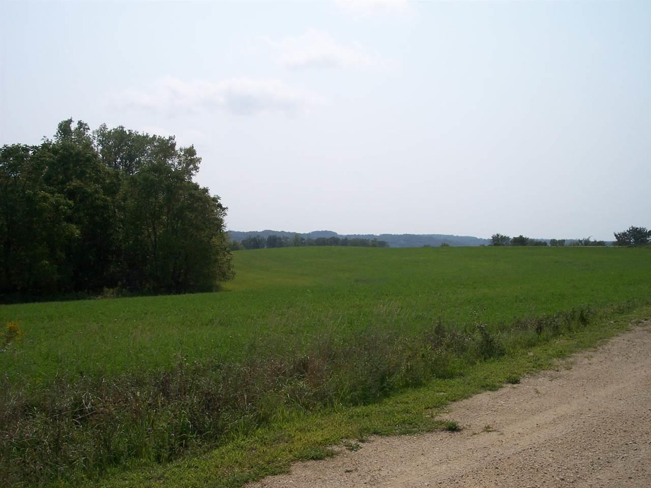 Lot 21 Royal Lane - Photo 1