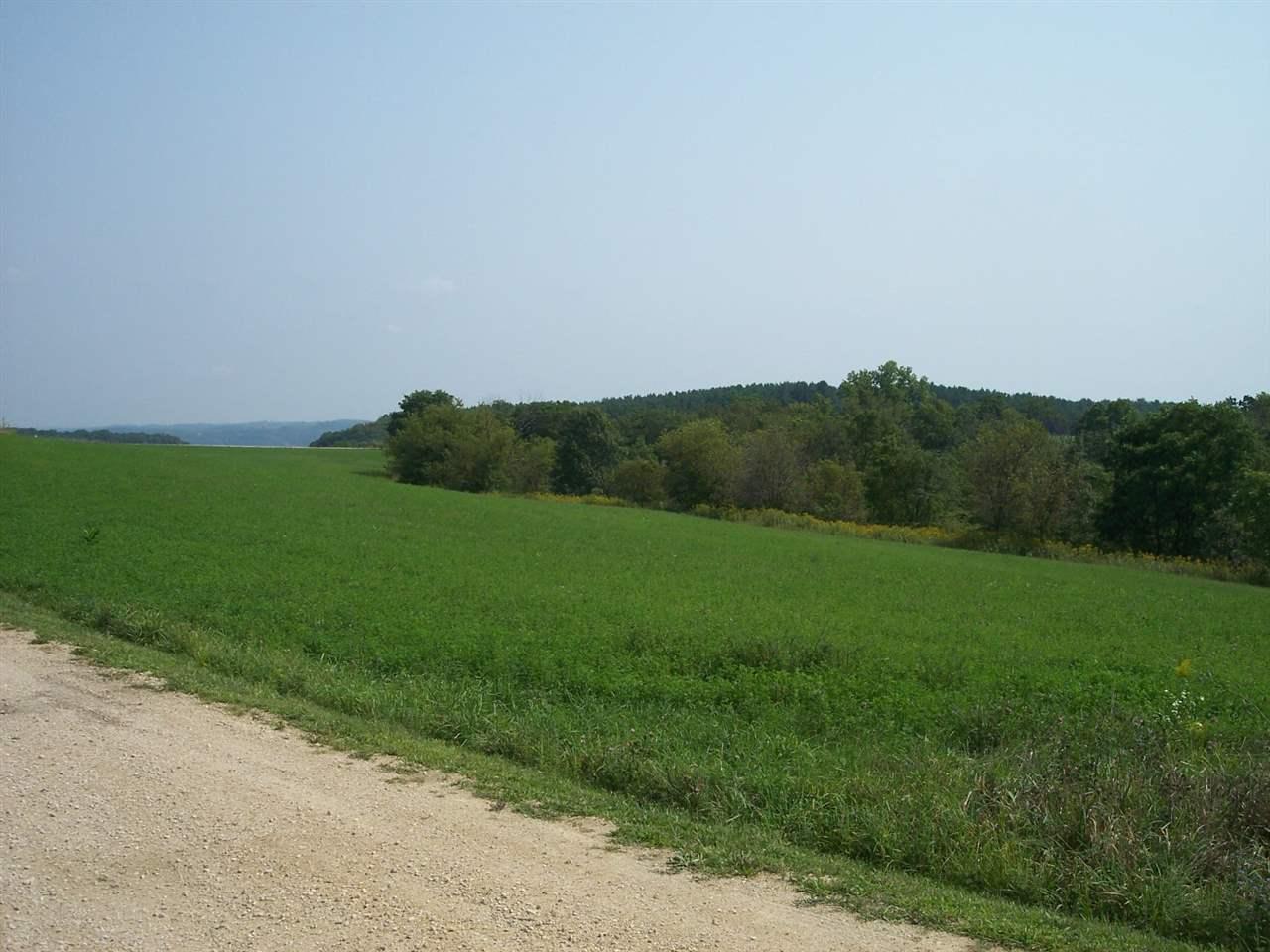 Lot 11 Two Rivers Lane - Photo 1