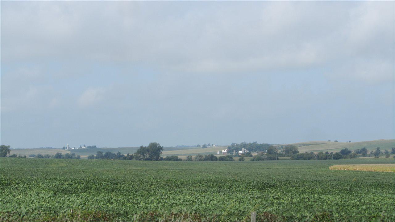 Hwy 21 Highway - Photo 1