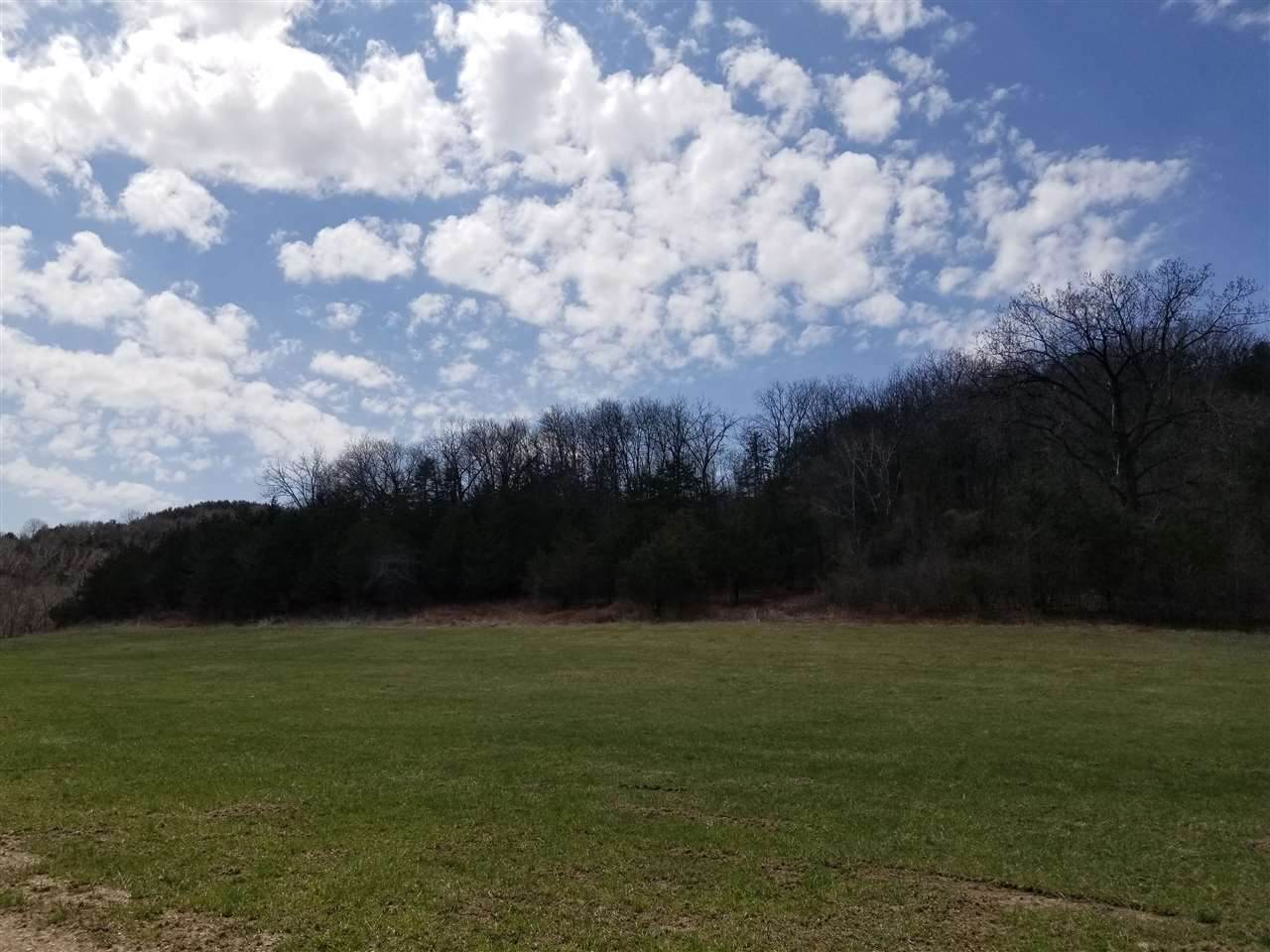 1648 Chief Lane - Photo 1