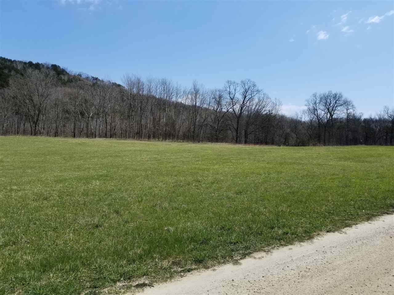 1649 Chief Lane - Photo 1
