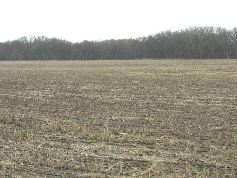 360th Street - Photo 1