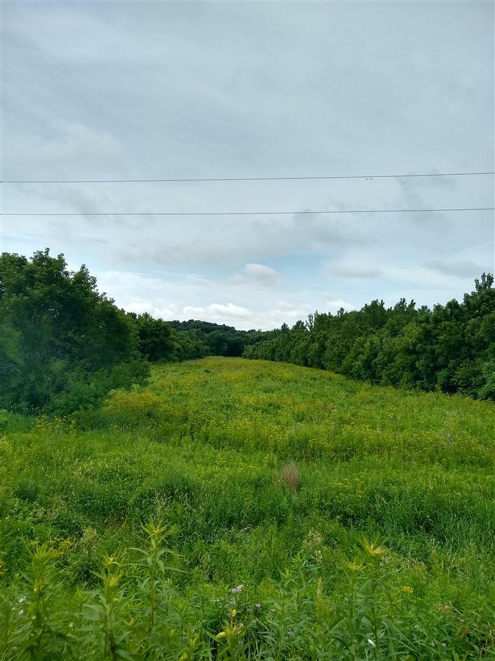 Coldwater Creek Road Road - Photo 1