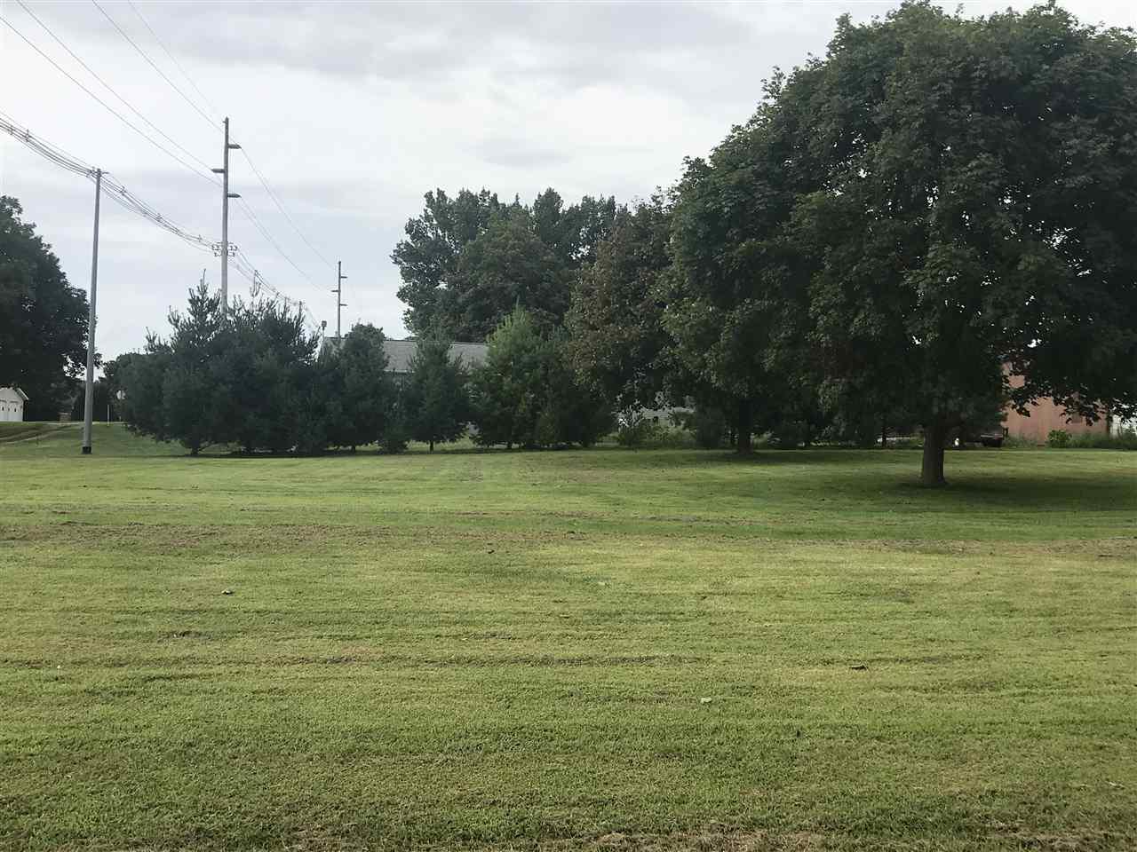 106 Le Stein Lane - Photo 1