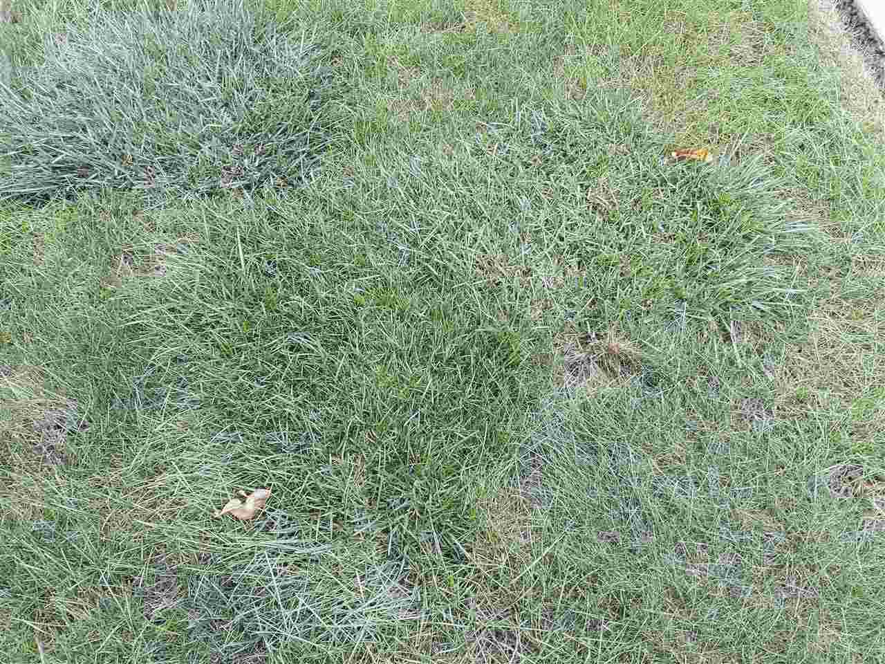 Sabrina Lot 32 - Photo 1