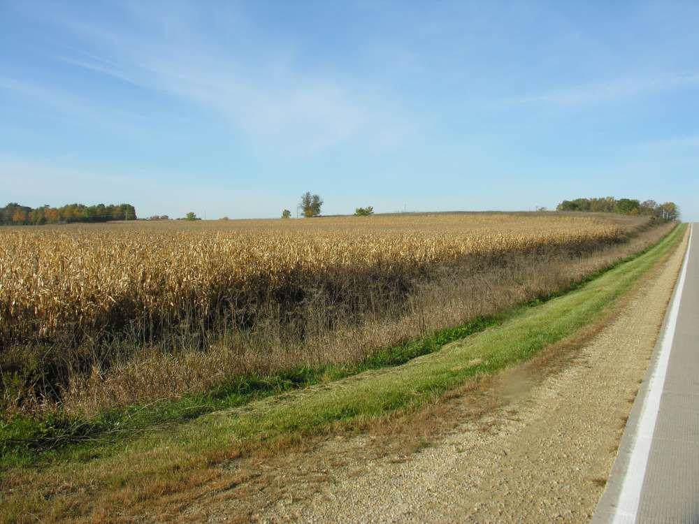 14300 420th Street - Photo 1