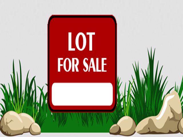 Lot 29 Fran - Photo 1