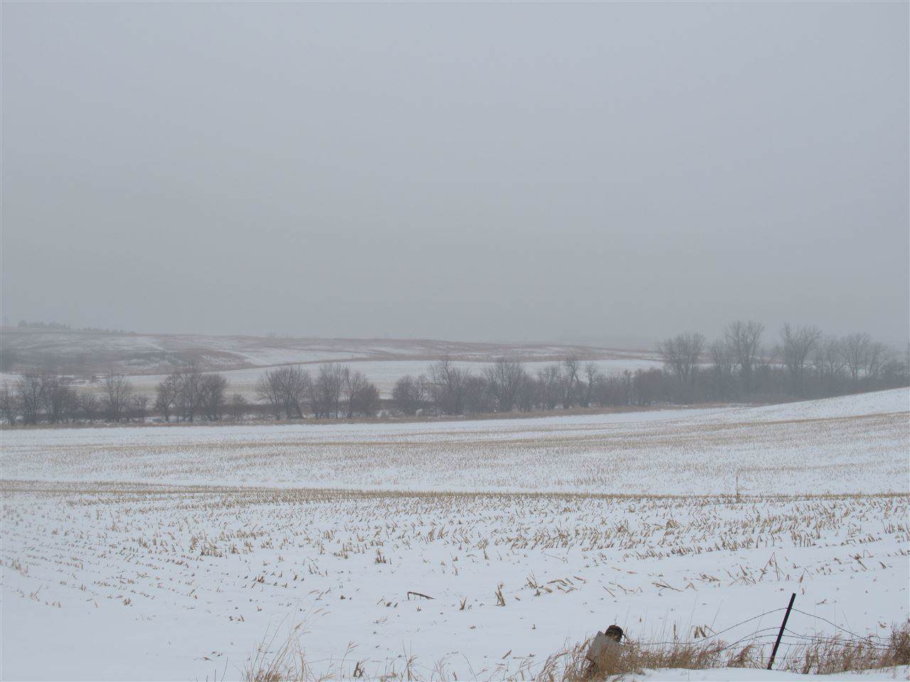 Address Not Published - Photo 1