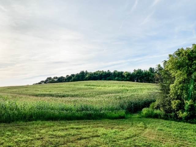 2513 Horton Road - Photo 1