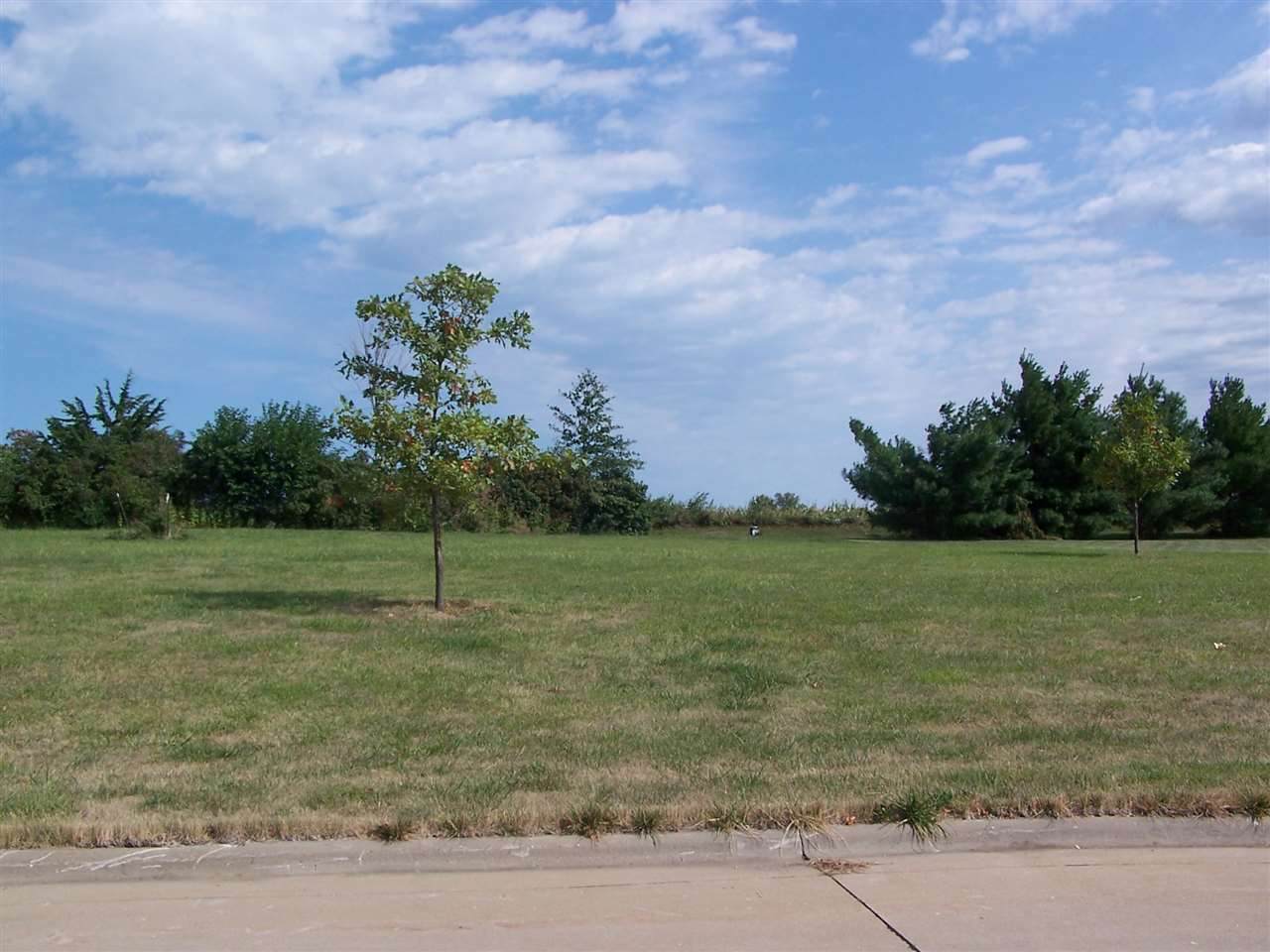 300 Don Martin Drive - Photo 1