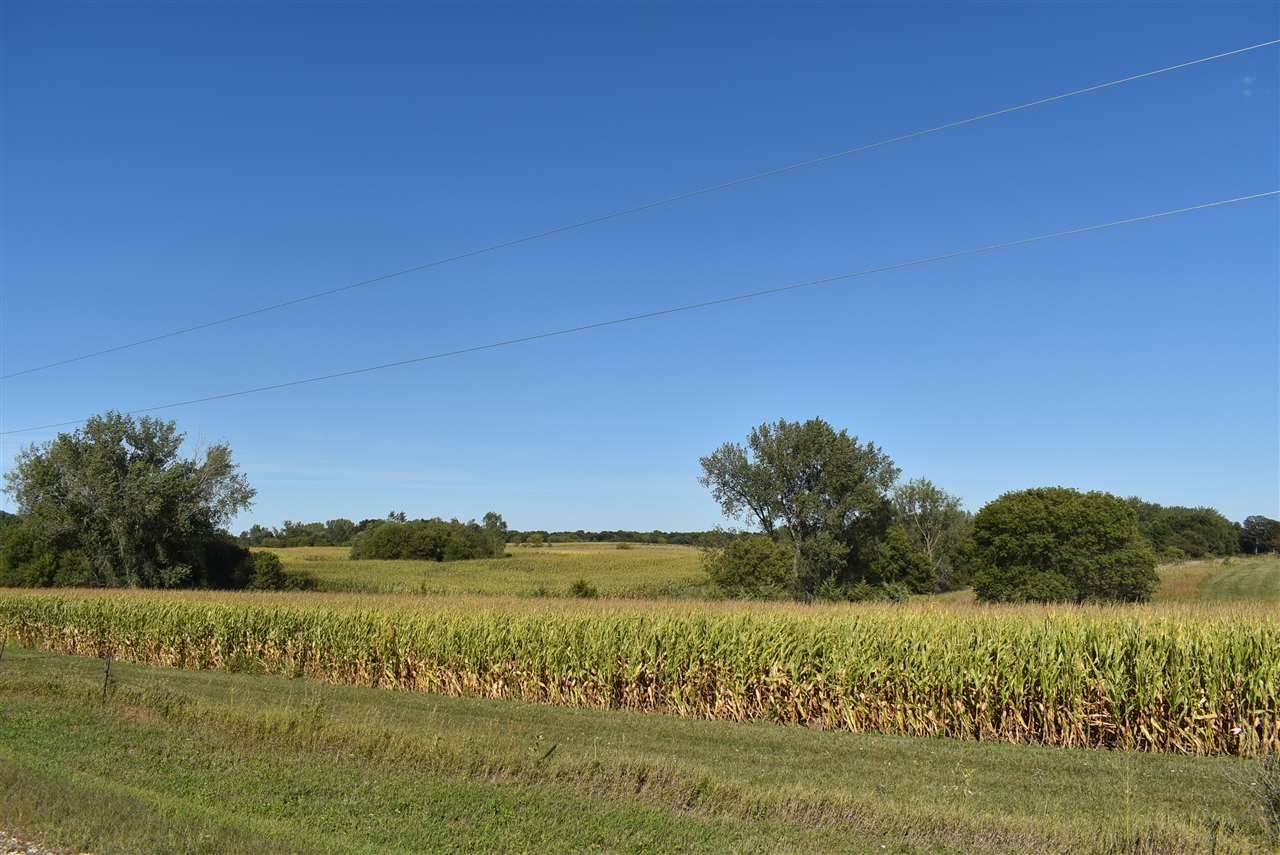 Quail Avenue - Photo 1