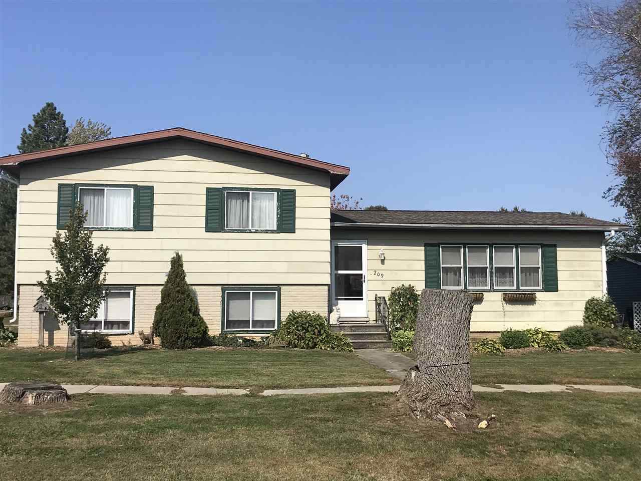 209 Burger Street - Photo 1