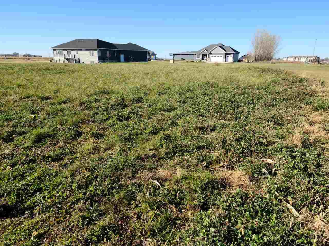 4813 Wild Flower Lane - Photo 1