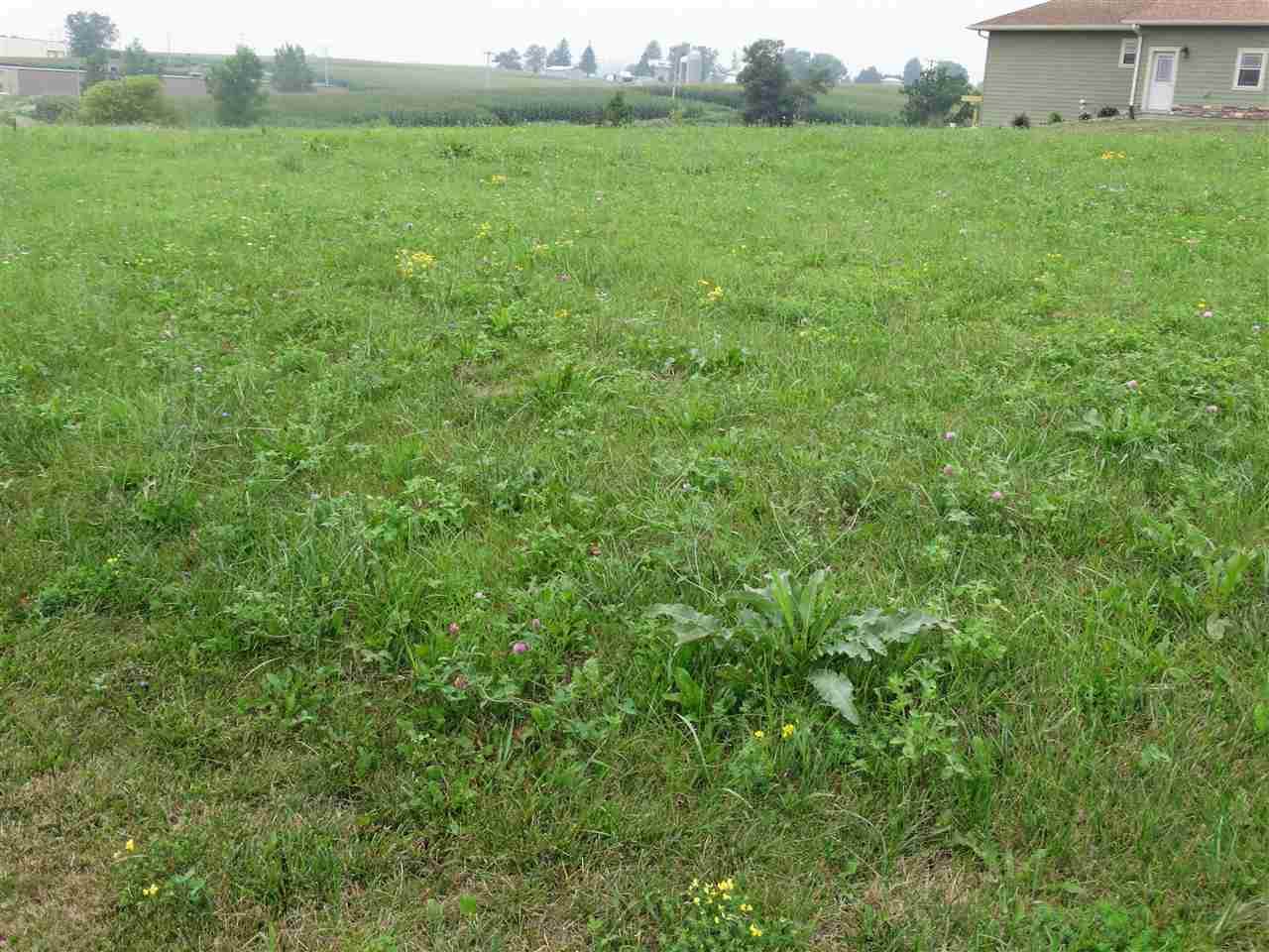 1013 2nd Street - Photo 1