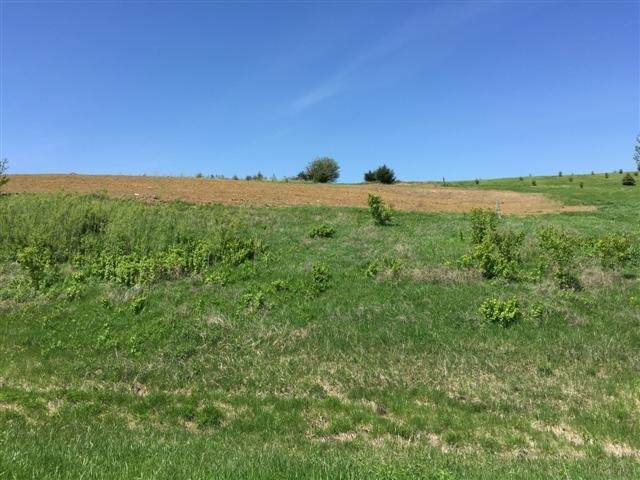 Lot 1 Highway 9 - Photo 1