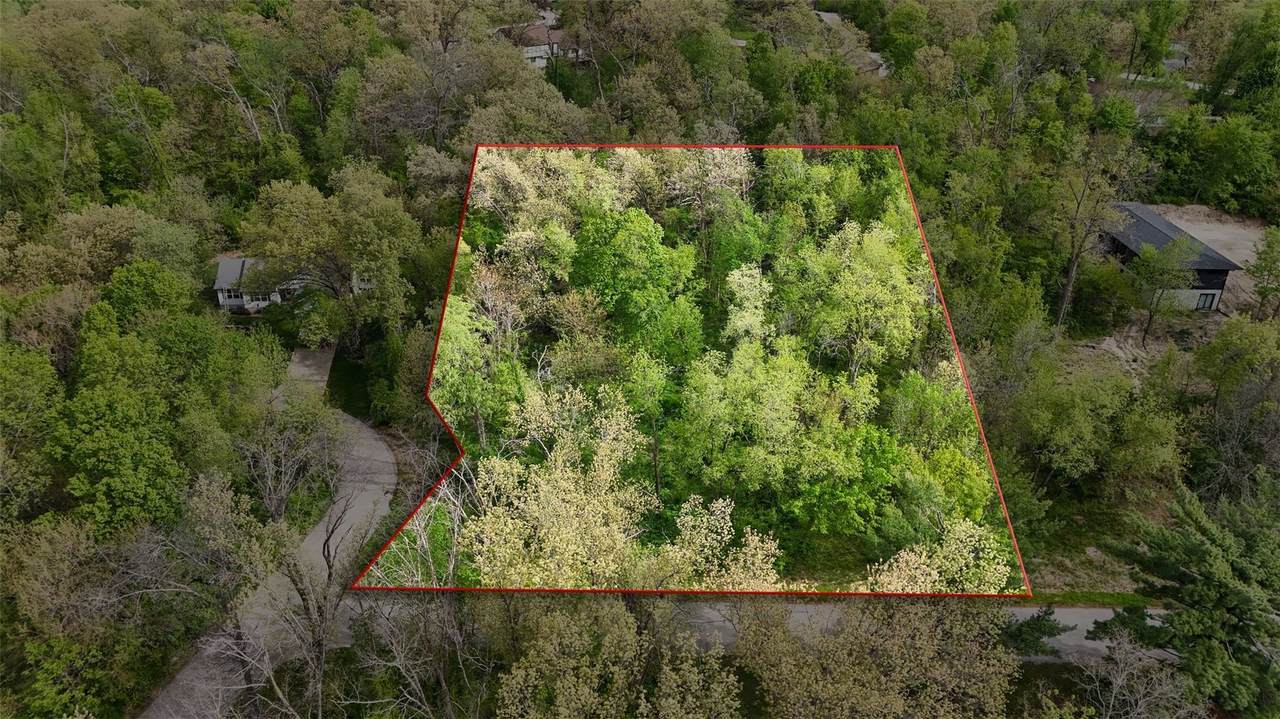 Lot 23 Blackberry Lane - Photo 1