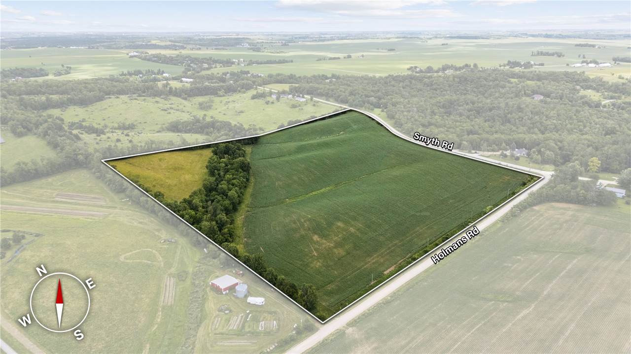 379 Acres +/- Corner Of Smyth Rd & Holmans Rd - Photo 1