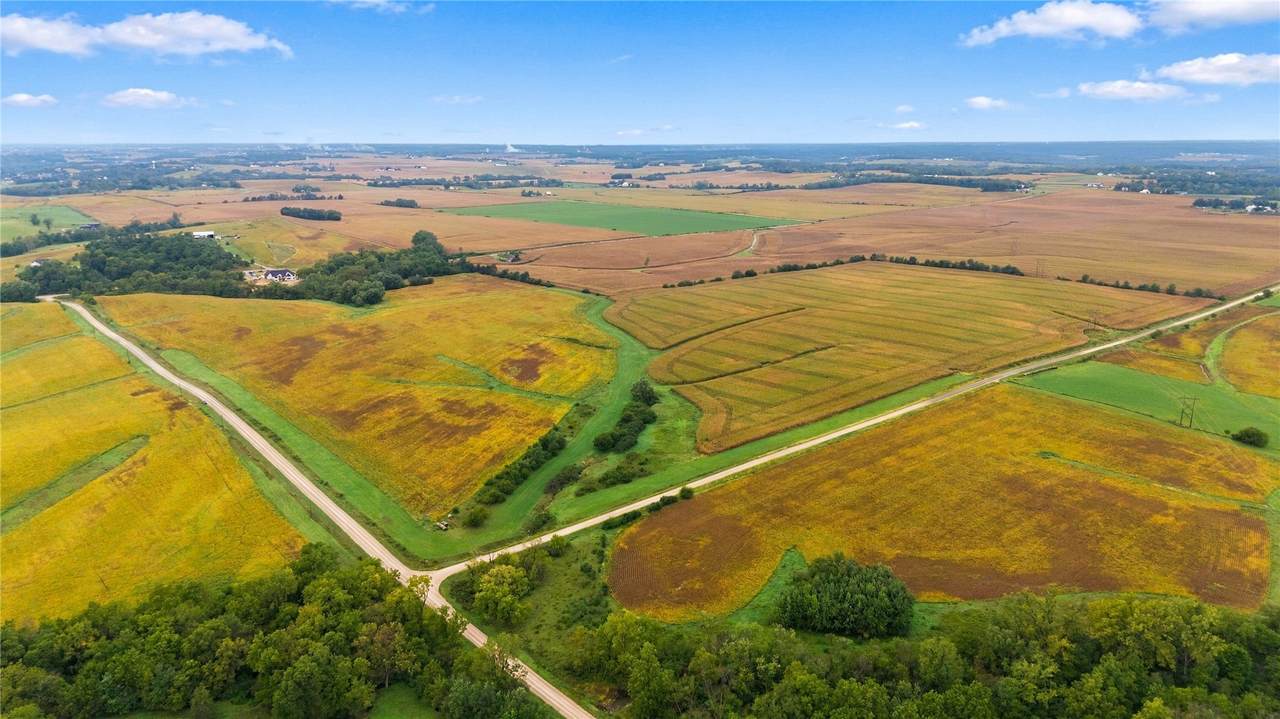  Dolezal Road - Photo 1