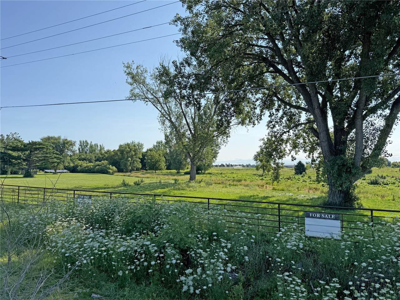  Alburnett Road - Photo 1