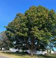 419 15th Street - Photo 2