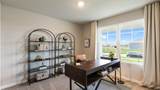 25 Pompas Drive - Photo 17