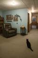 117 Main Street - Photo 26