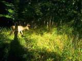  Hendershot Road - Photo 22