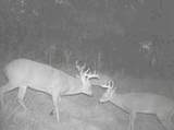  Hendershot Road - Photo 23