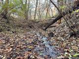  Wendy Oaks Rd - Photo 12